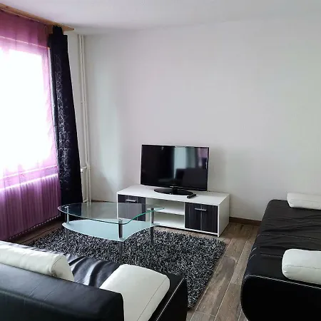 Family Friendly In The Heart Of Apartment *